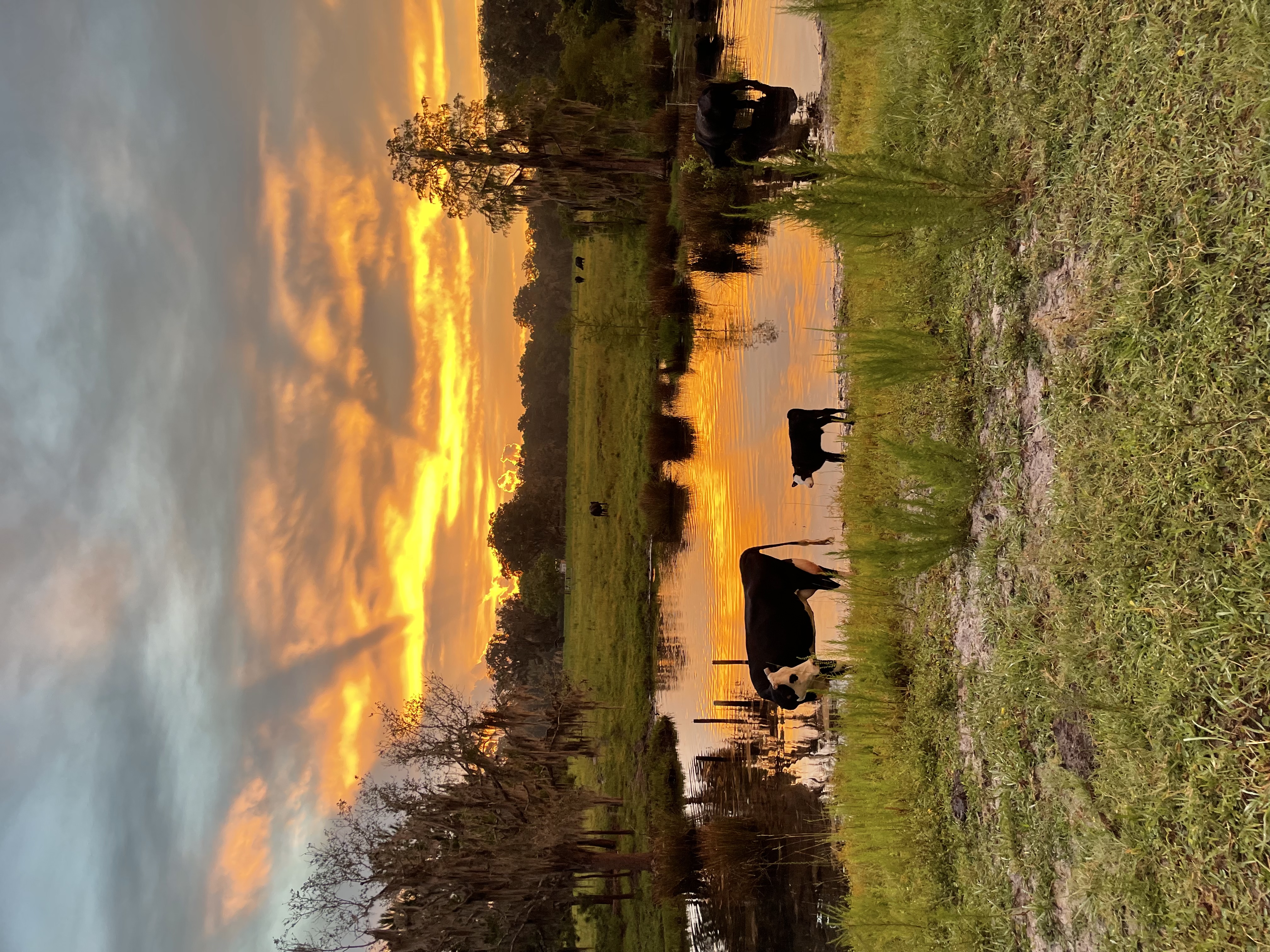 Wedding Venue & Farm Stay | Northeast & Central Florida Ranch | Golden ...
