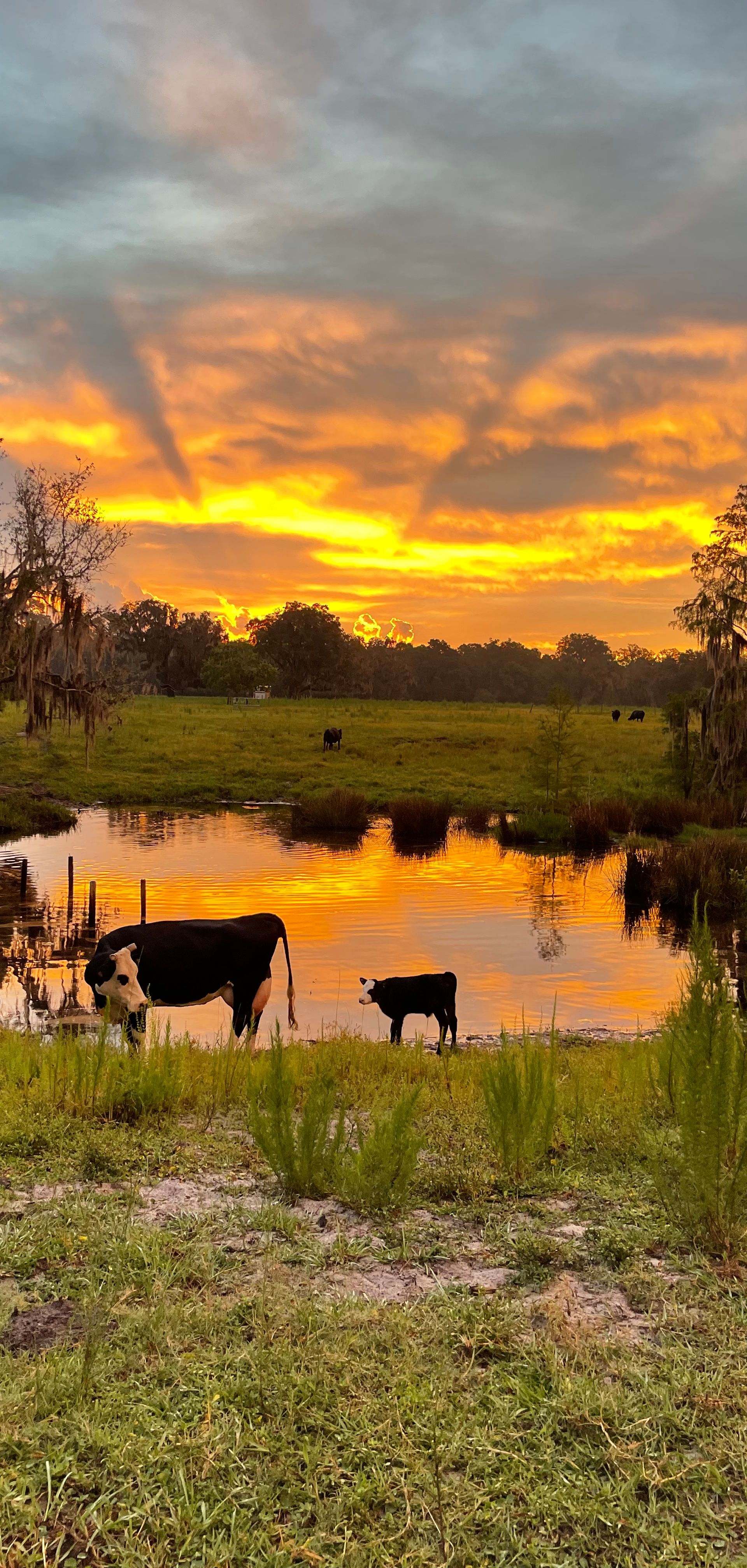 Barn Event Venue | North Florida Ranch | Golden Creek Ranch
